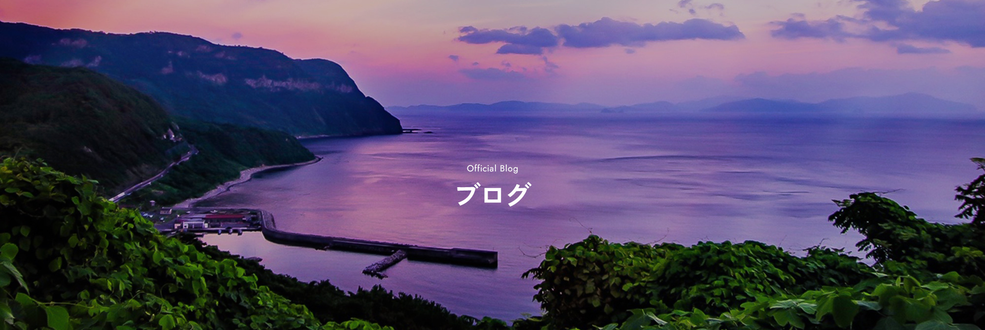 ブログ